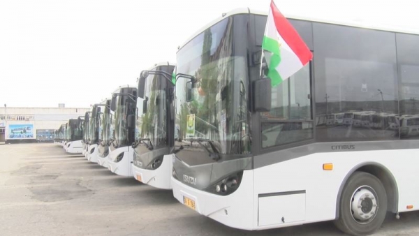 Ронандагони автобус: Омӯзиш ройгону кор дар Душанбе